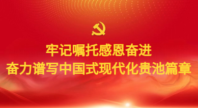 牢記囑托感恩奮進(jìn)奮力譜寫中國式現(xiàn)代化貴池篇章