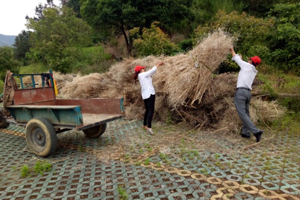 clip_image001.jpg clip_image001.jpg